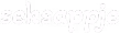 SeksAppje